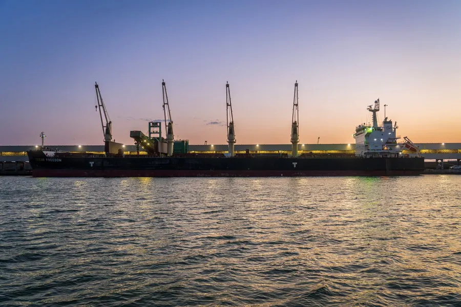 Geared dry bulk carrier with its own deck cranes (illustrative vessel type)
